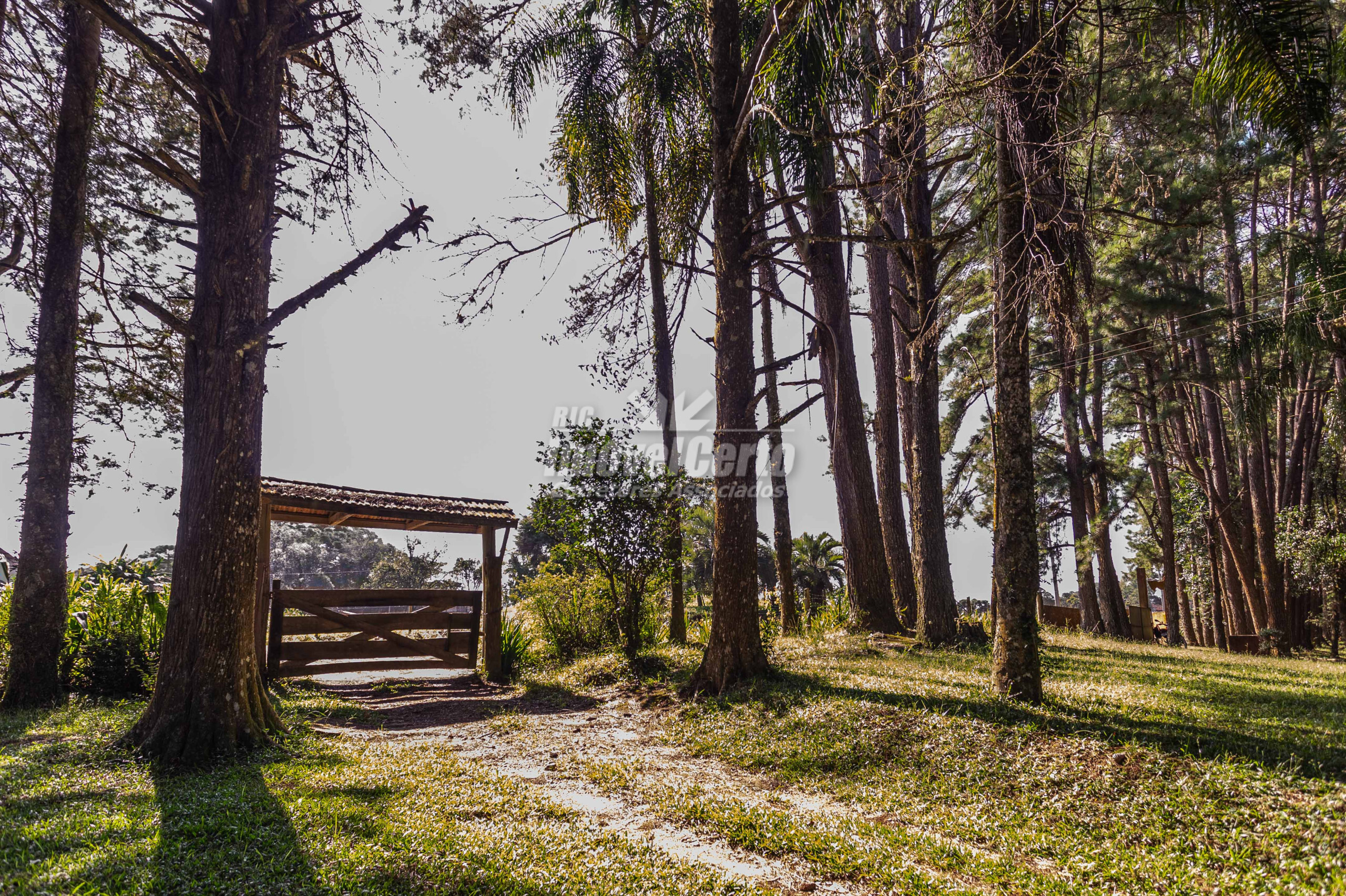 <p>Chácara com 5 quartos na Colônia Murici, São José dos Pinhais-PR</p>