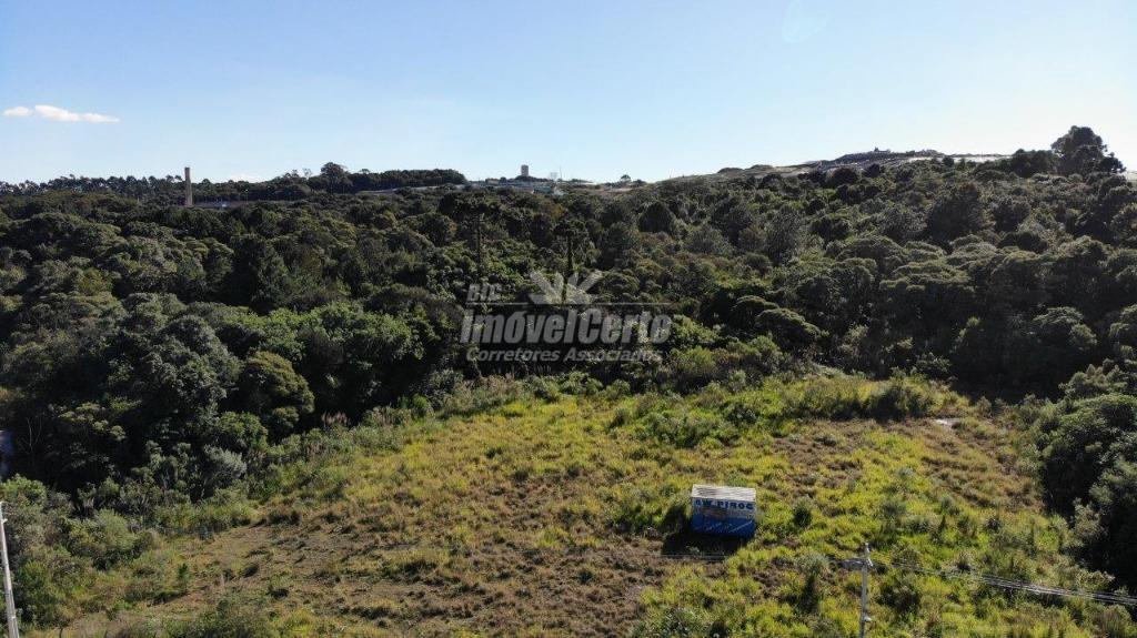 ÁREA de terreno com de 6.500,00m2. ZI - Zona Industrial
