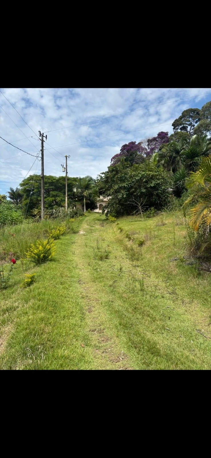 Terreno Rural de 3.000m² Totalmente Plano – Alto Califórnia | R$ 110 Mil