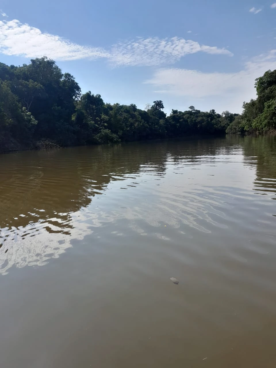  ATIVO RURAL ESTRATÉGICO – 550 HECTARES NA AMAZÔNIA 🌿