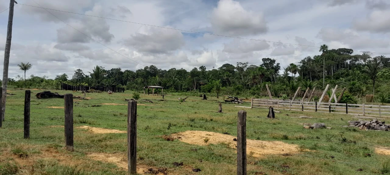  ATIVO RURAL ESTRATÉGICO – 550 HECTARES NA AMAZÔNIA 🌿