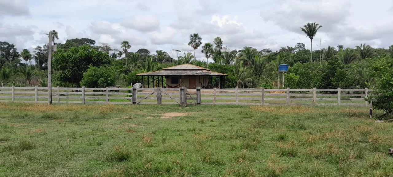 ATIVO RURAL ESTRATÉGICO – 550 HECTARES NA AMAZÔNIA 🌿