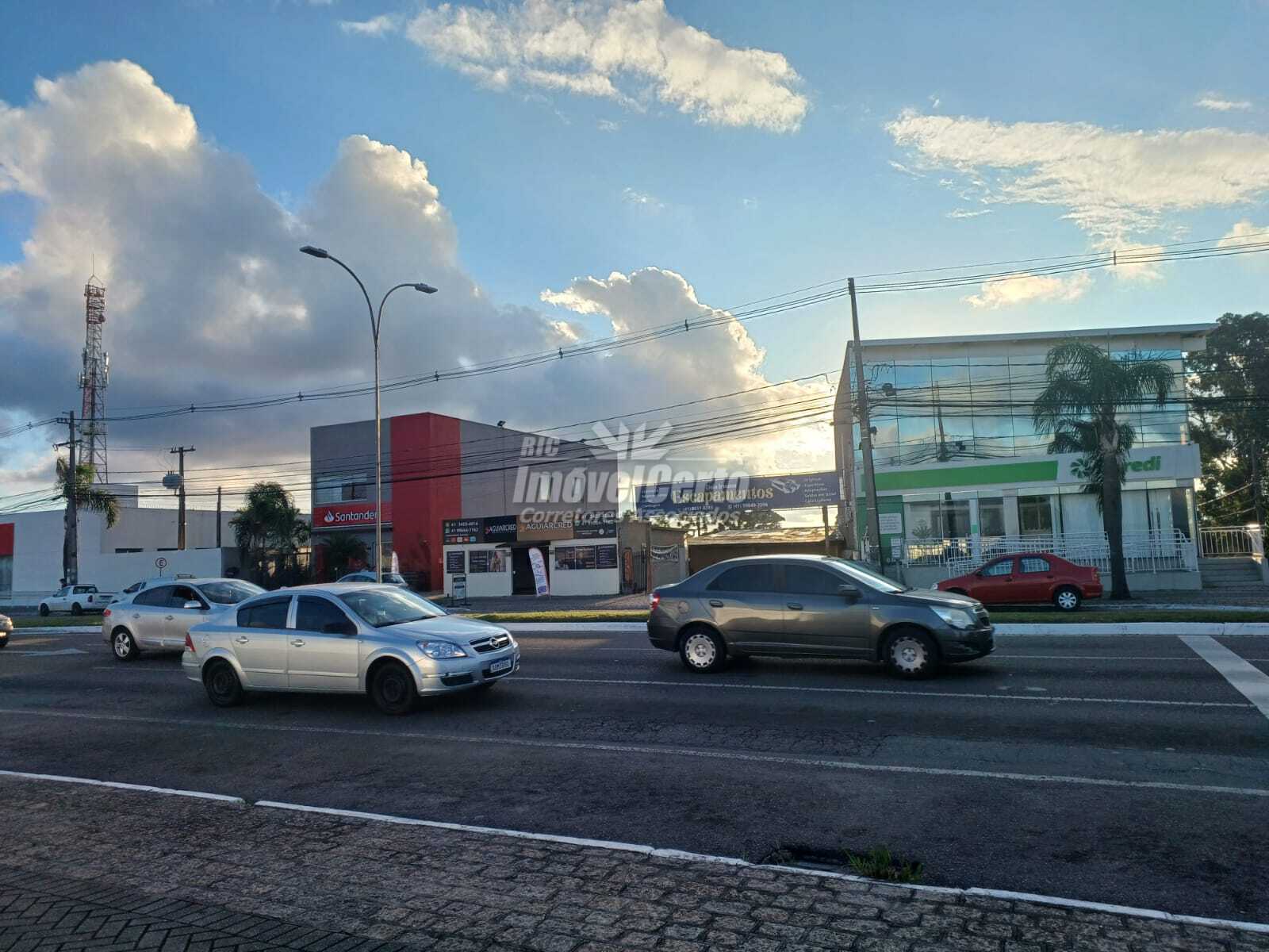 Miniatura 11