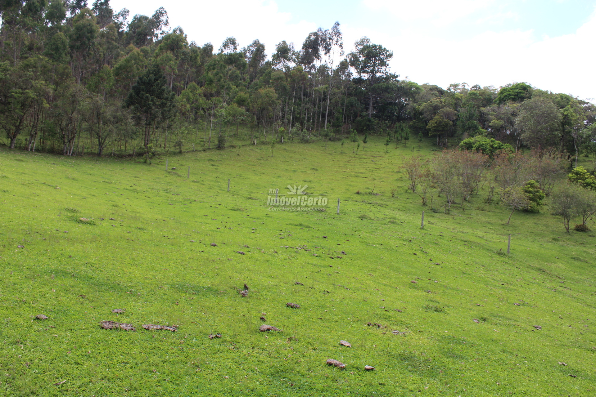 Chácara à venda, 260.300 m² por R$ 2.750.000,00 -