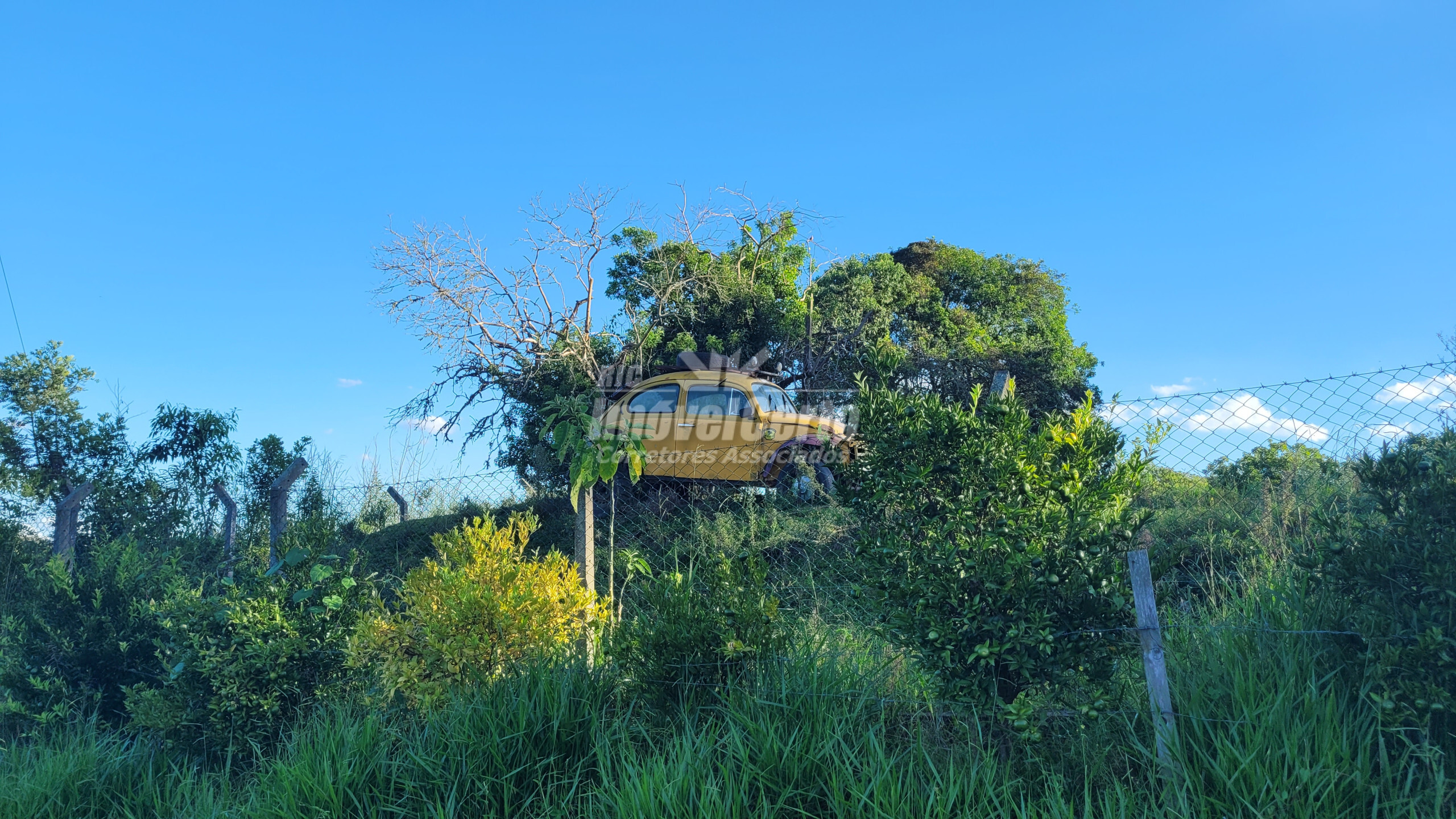 Imóvel -