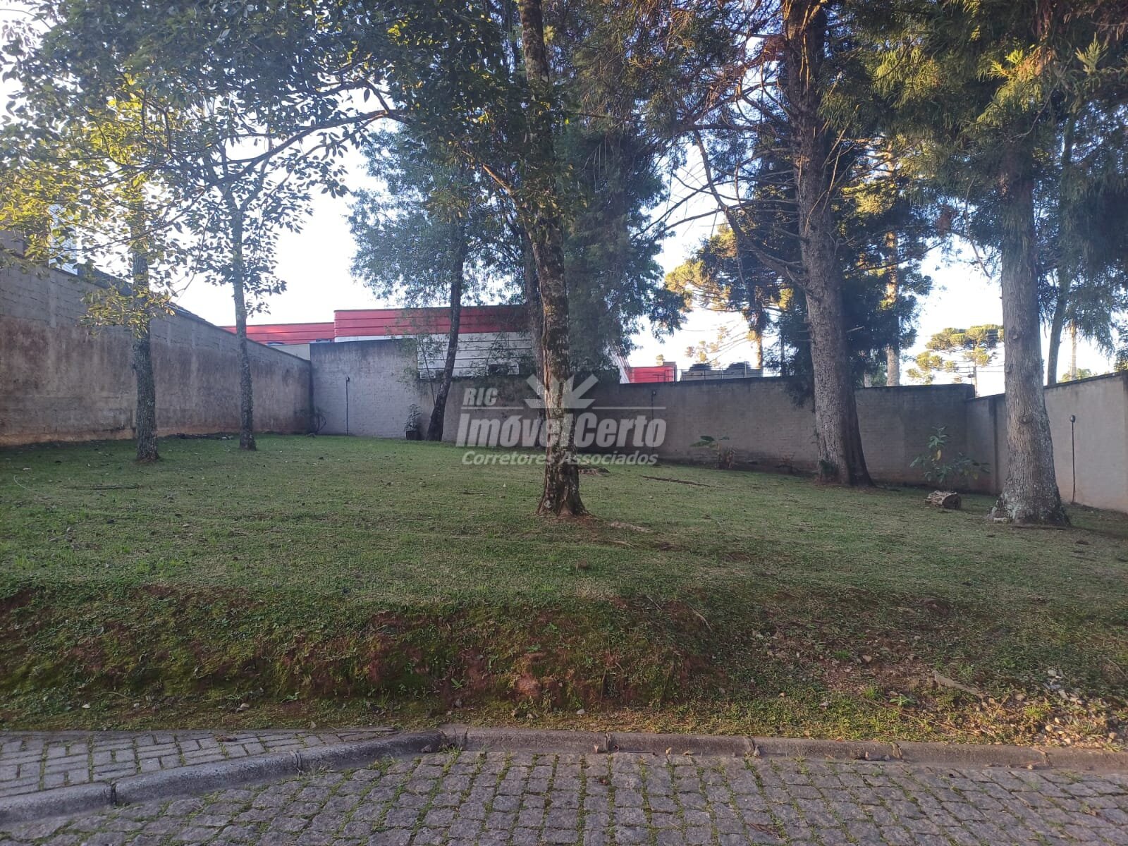 Miniatura 17
