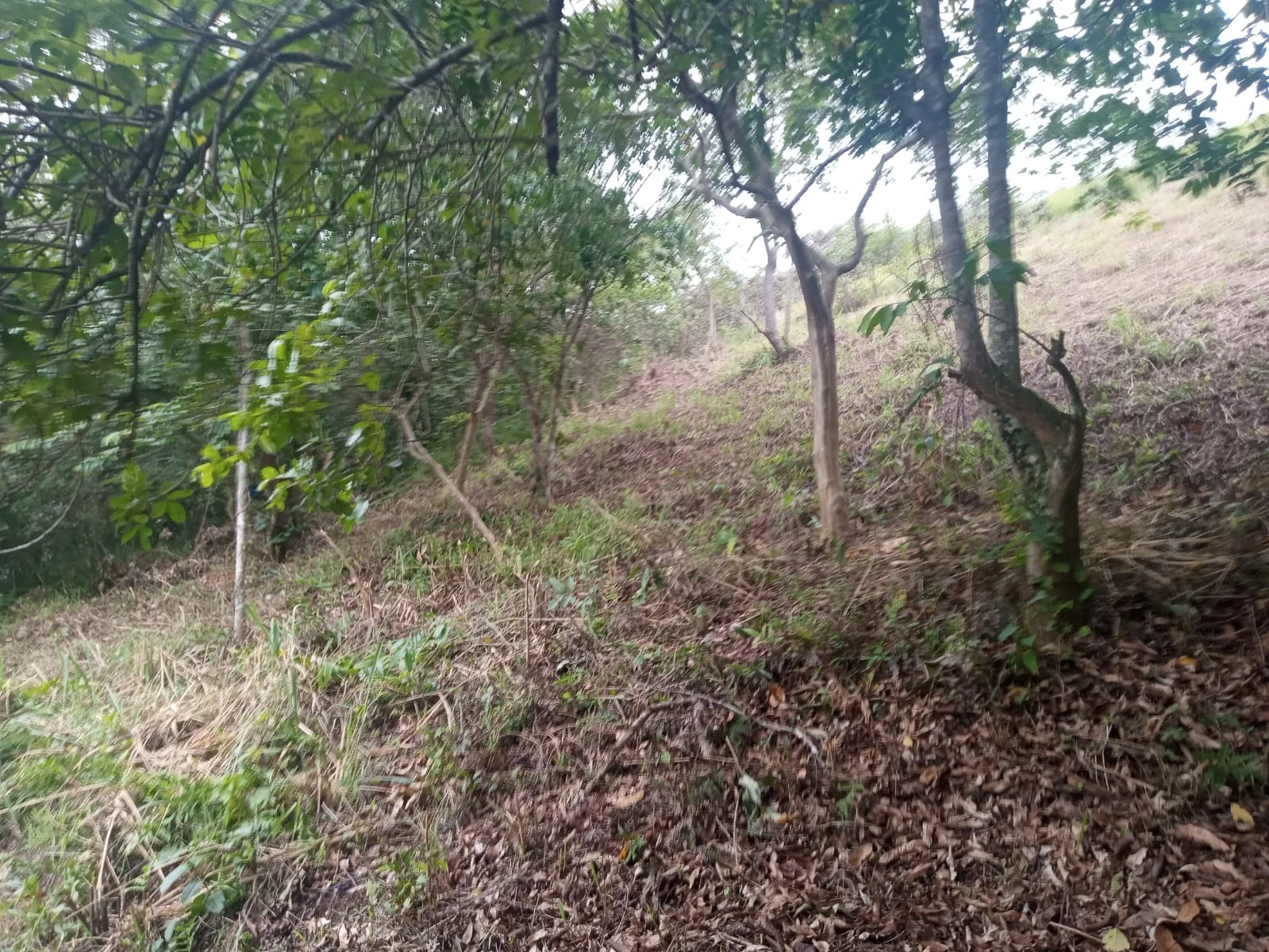 Terreno no bairro da Cotia, Guapimirim