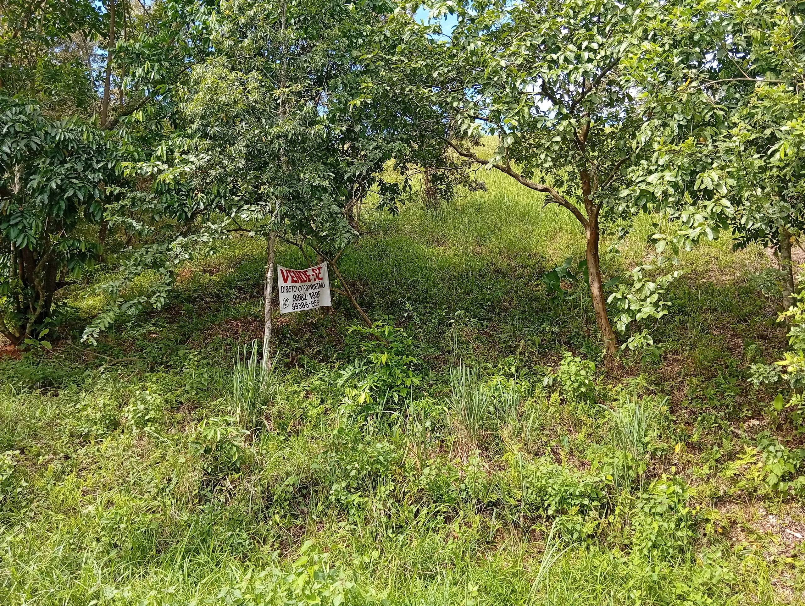 Terreno no bairro da Cotia, Guapimirim