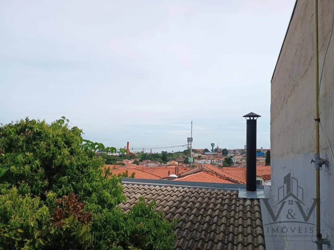 Miniatura 14