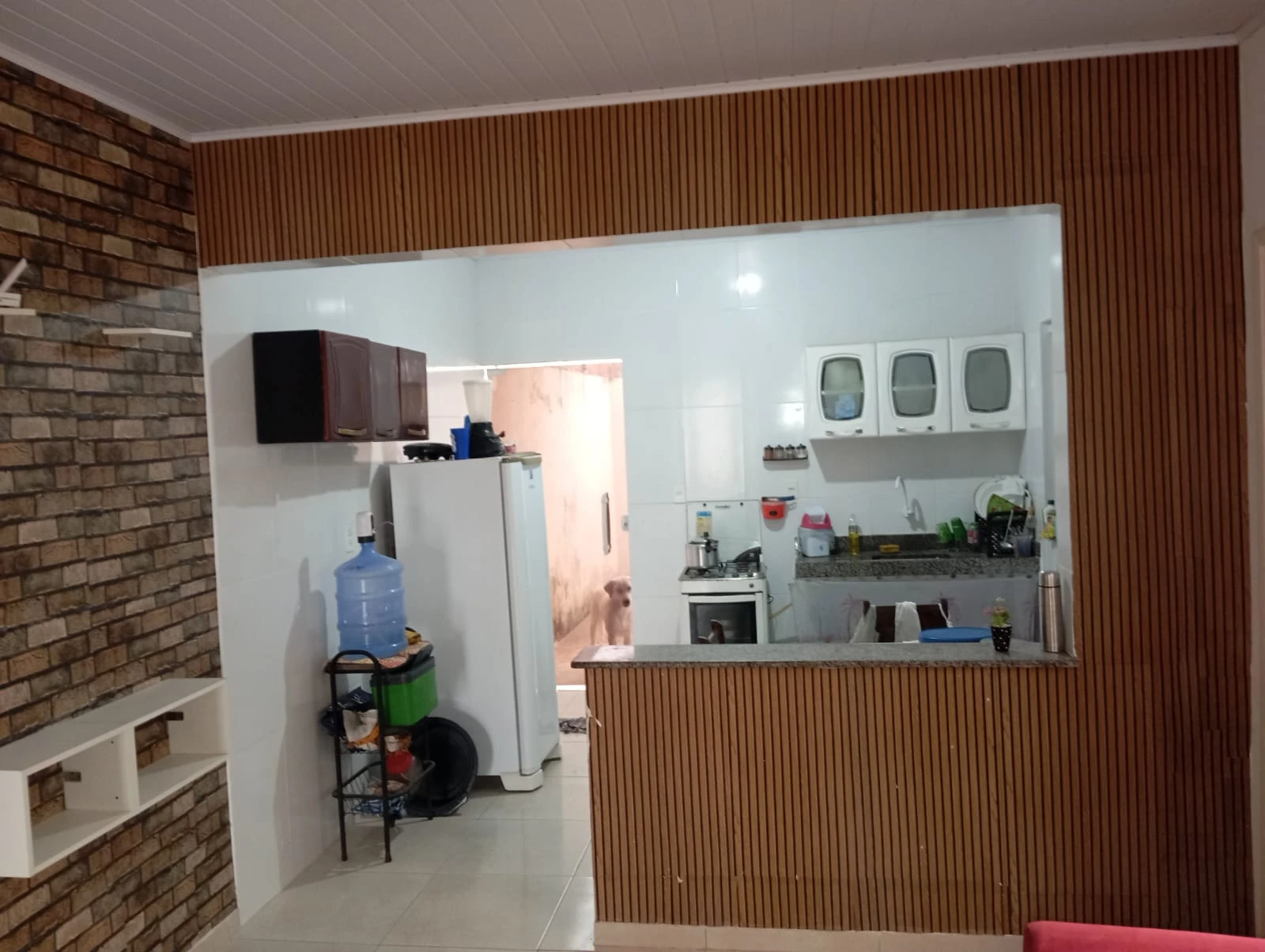 Miniatura 10