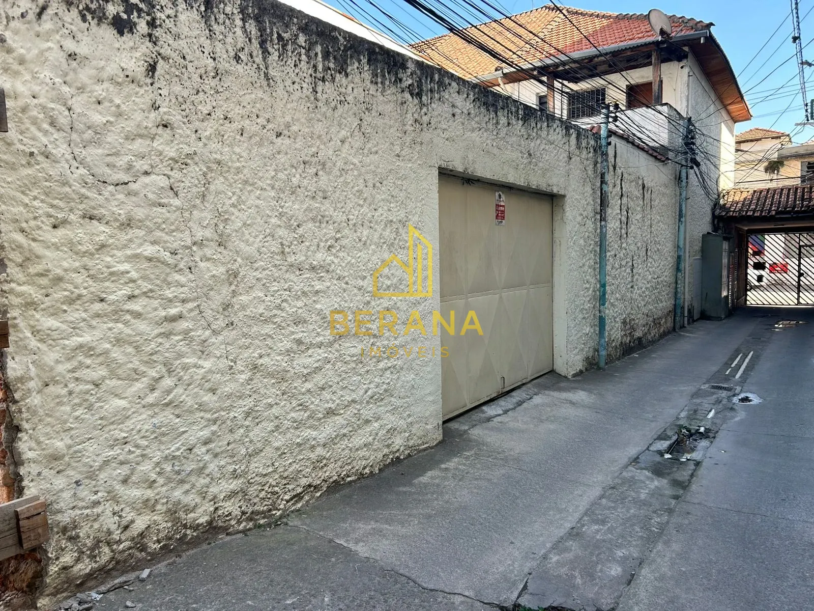Miniatura 11