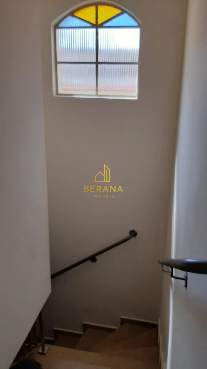 Miniatura 13