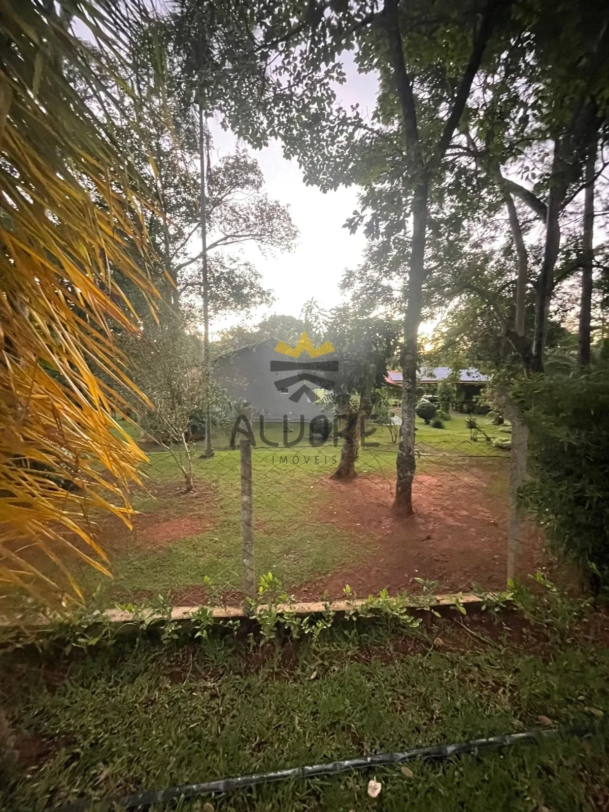 Miniatura 24