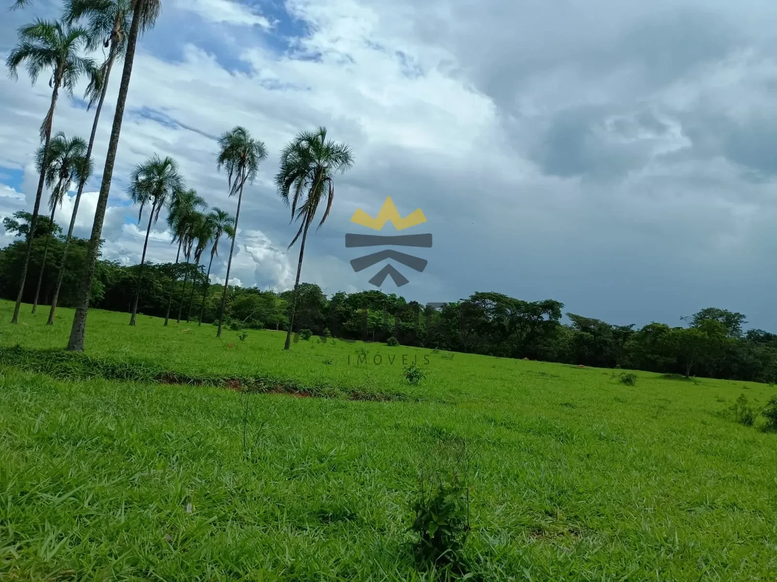 Fazenda à Venda | Água Fria de Goiás – GO