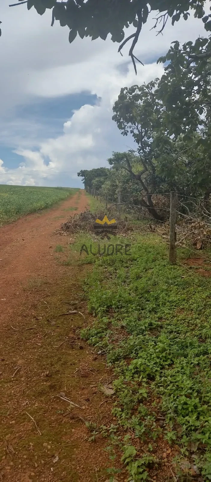 Fazenda à Venda | Água Fria de Goiás – GO