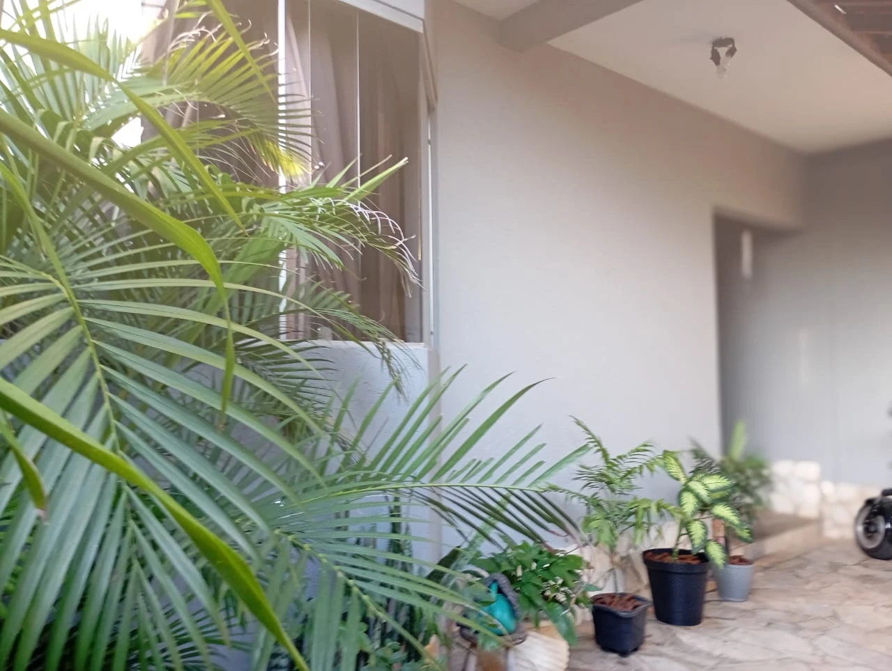 Casa São Camilo