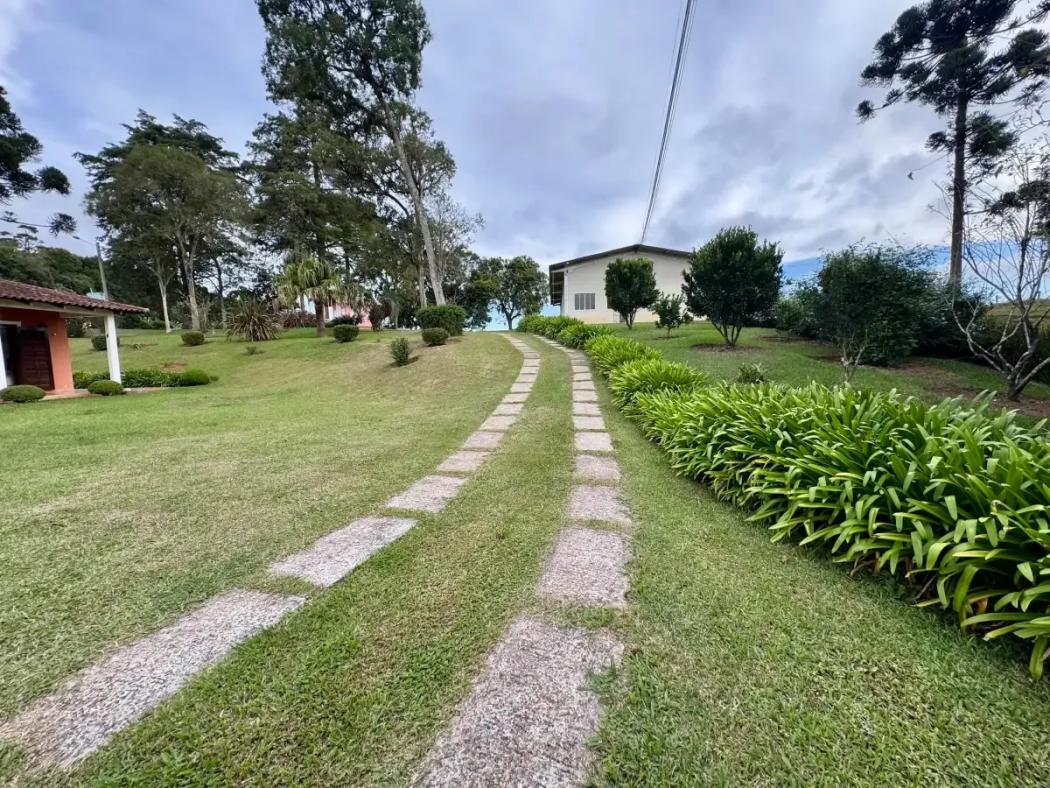 Sítio no Caminho do Vinho