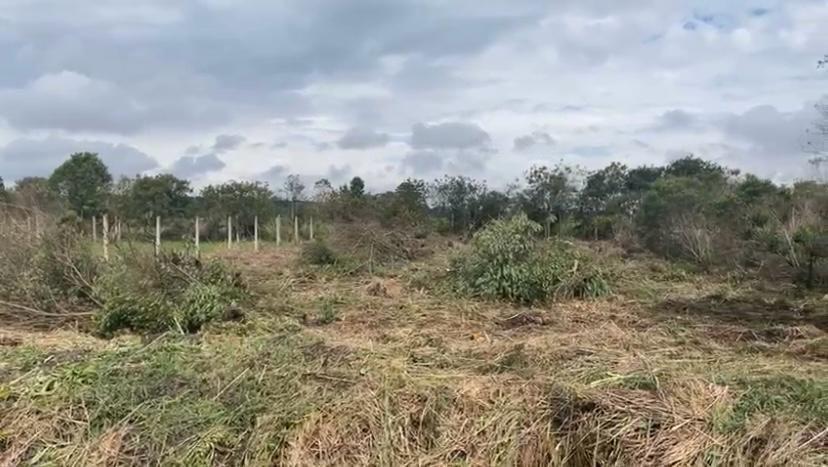 Terreno Exclusivo à Venda – São José dos Pinhais