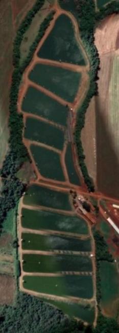 Fazenda de Piscicultura