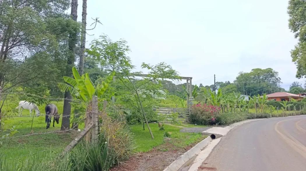 Chácara á venda em Irati Pr
