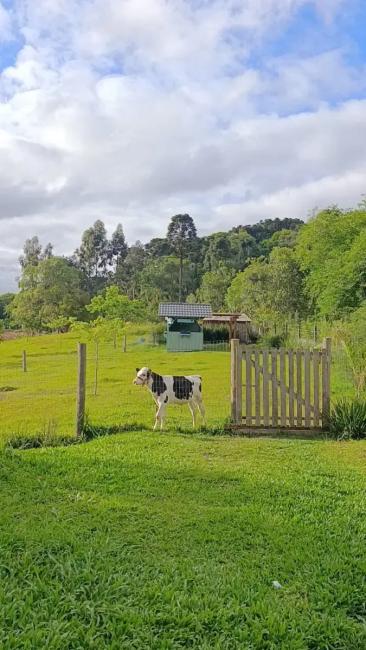 Chácara á venda em Irati Pr