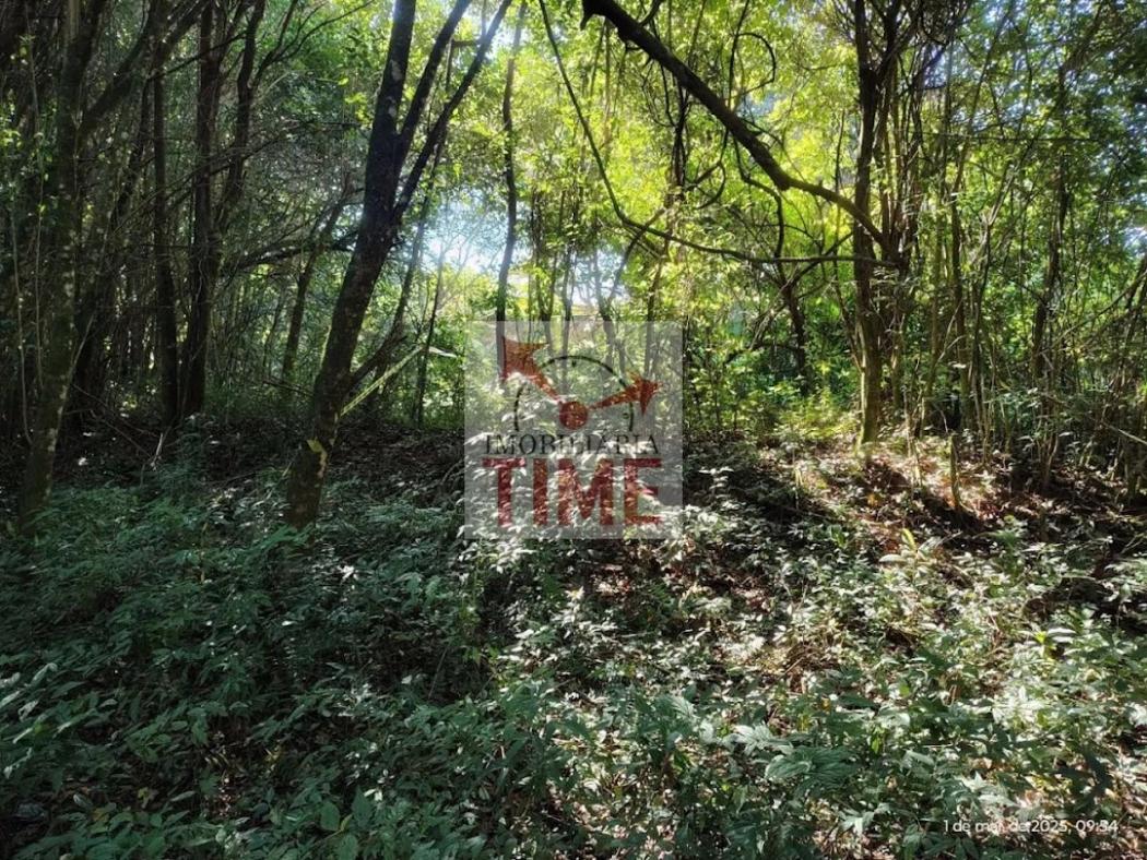 Terreno de 12.300 m² em Campo Largo PR – Frente BR 277, ideal para Investidores e Empresas- TE0001.