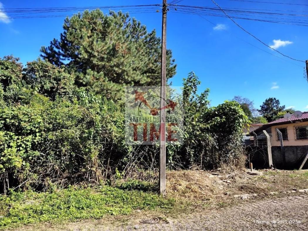 Terreno de 12.300 m² em Campo Largo PR – Frente BR 277, ideal para Investidores e Empresas- TE0001.