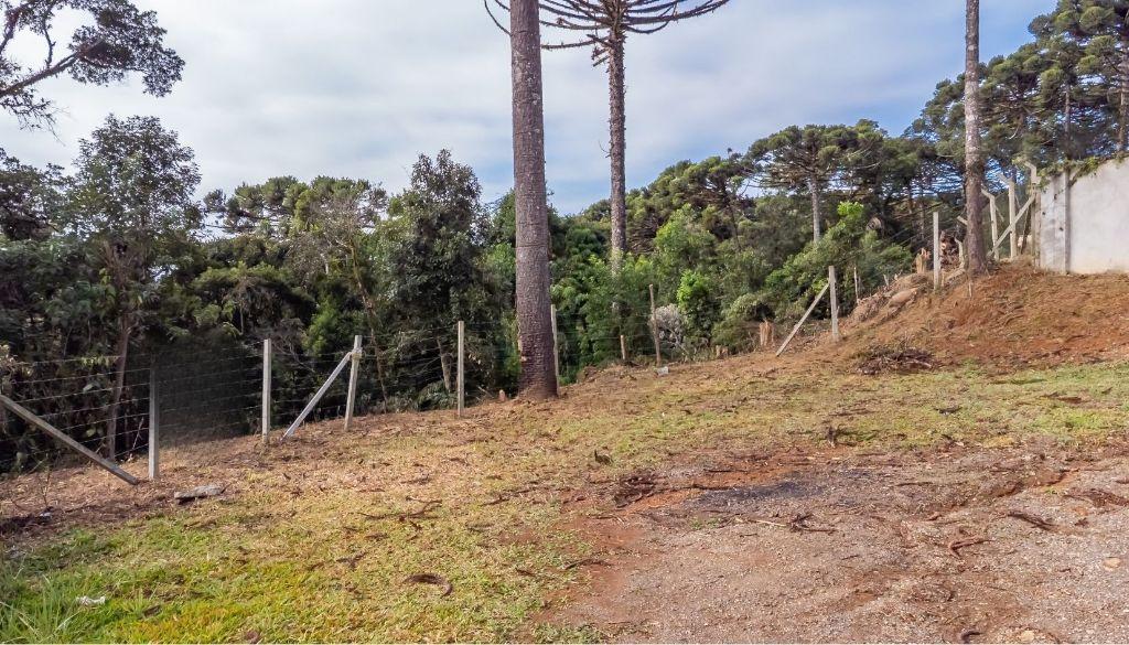Terreno para venda, Palmitalzinho, Quatro Barras, 27