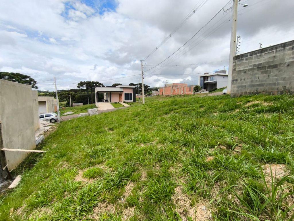 Terreno para venda, Paloma, Colombo, 35