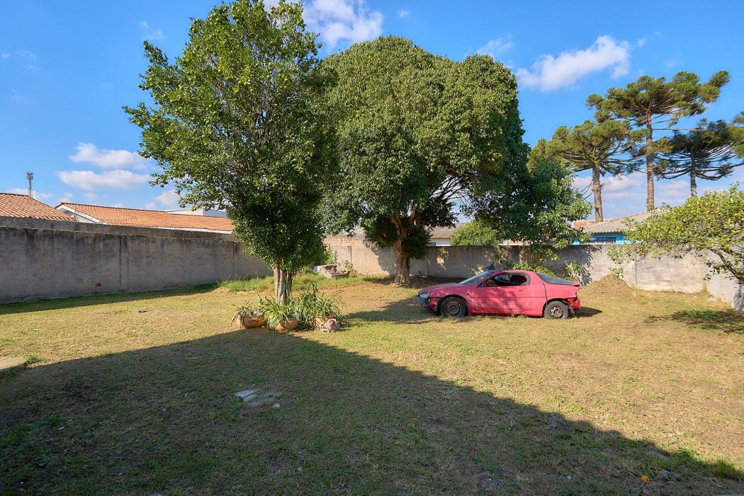 Miniatura 20