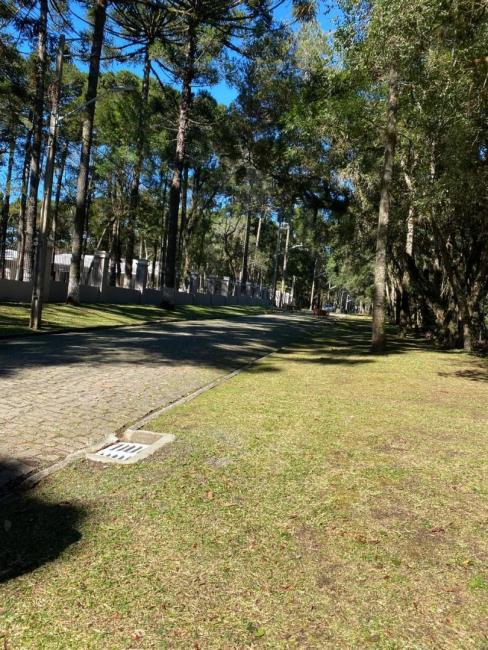 Terreno à venda, 3603 m² por R$ 1.100.000,00 - Jardim Esmeralda - Piraquara/PR