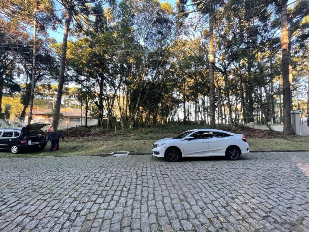 Terreno à venda, 3603 m² por R$ 1.100.000,00 - Jardim Esmeralda - Piraquara/PR