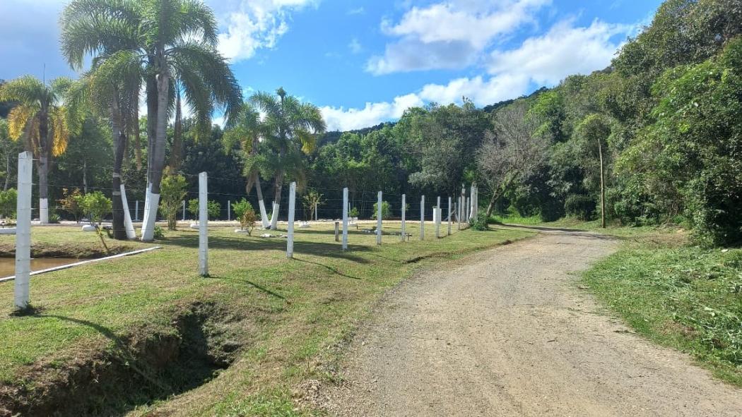 Chácara para Venda em Campina Grande do Sul, Paiol de Baixo