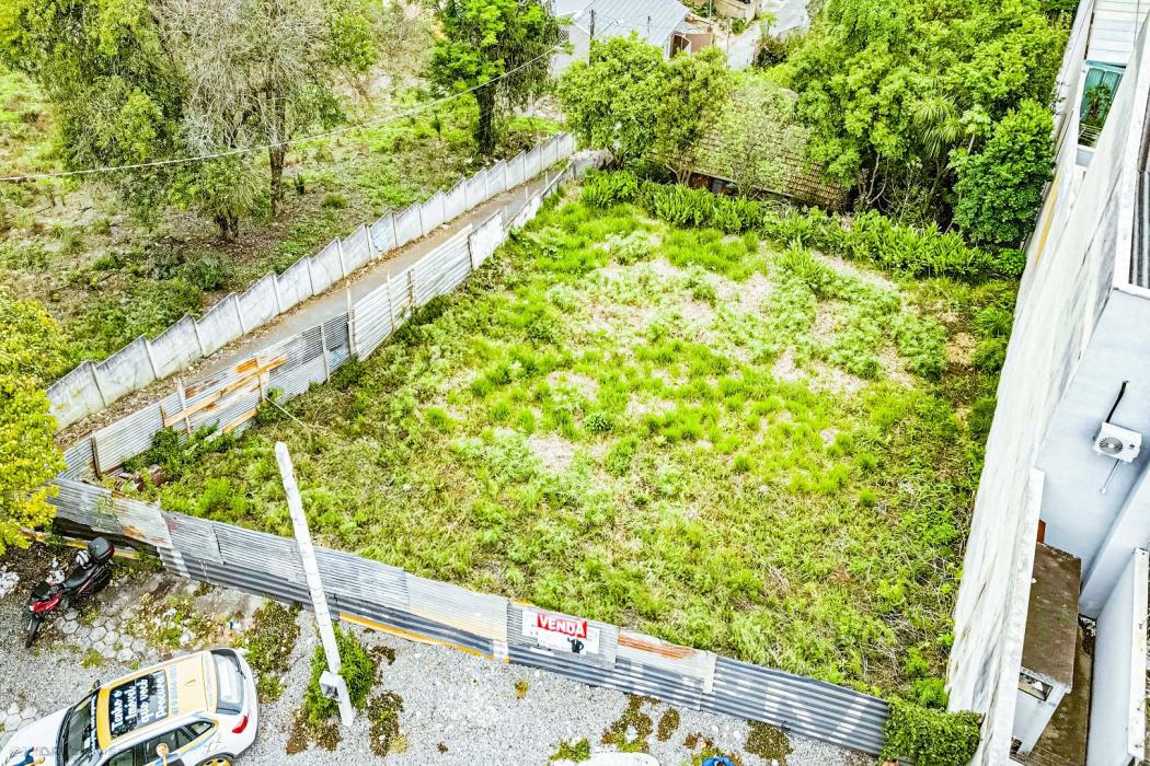 Terreno de Esquina em Avenida Movimentada no Tingui - 537m² !