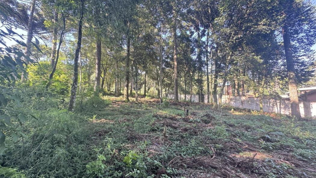 À 2 min da HAVAN em Fazenda Rio Grande - Seu Refúgio na Natureza - Terreno no Bosque Dom Bosco