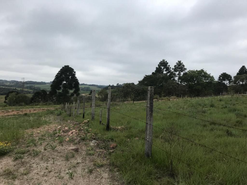 Chácara com 5000 m2 no Distrito de Mariental Lapa