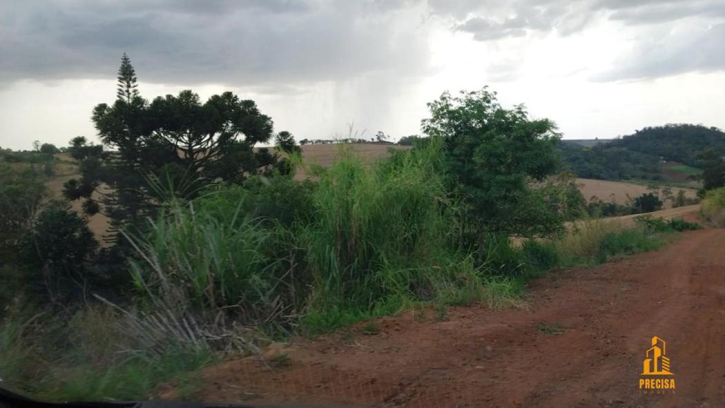 Terreno próximo a Londrina - Regularizado e com plantações
