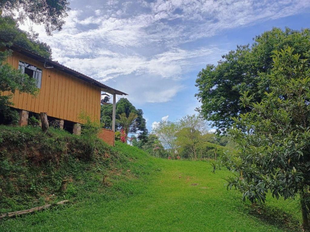 Chácara à venda, 12100 m² por R$ 800.000,00 - Ferraria - Campo Largo/PR