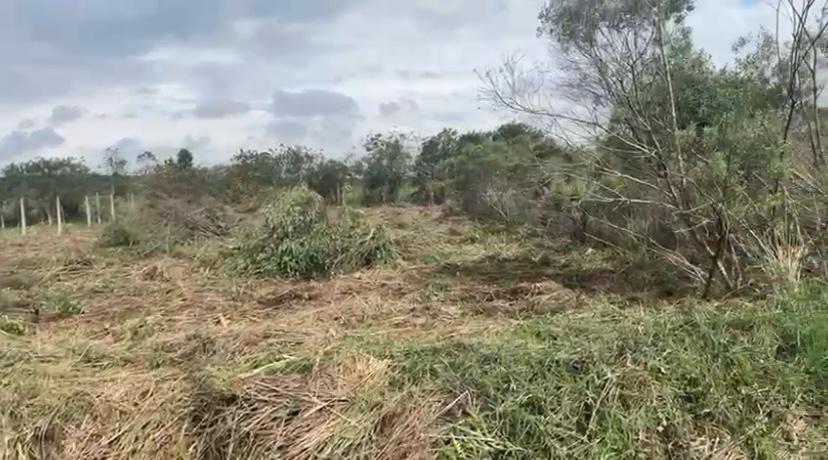 Terreno Exclusivo à Venda – São José dos Pinhais