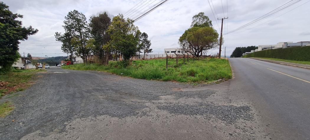 Terreno à venda, 3523 m² por R$ 2.994.975,00 - Jardim Carvalho - Ponta Grossa/PR