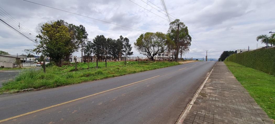 Terreno à venda, 3523 m² por R$ 2.994.975,00 - Jardim Carvalho - Ponta Grossa/PR