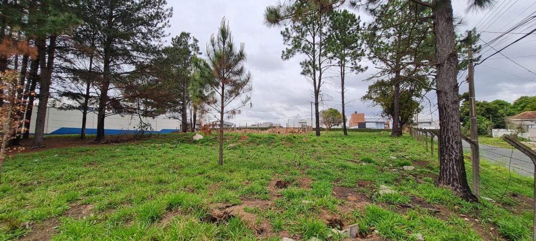 Terreno à venda, 3523 m² por R$ 2.994.975,00 - Jardim Carvalho - Ponta Grossa/PR