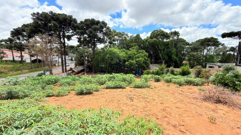Terreno à venda, 2170 m² por R$ 1.500.000 - Rua Curitiba, Lt, 10 Estados - Fazenda Rio Grande/PR