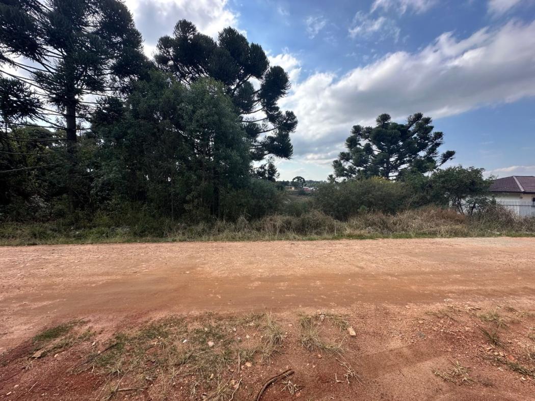 Terreno à venda, 1208 m² por R$ 550.000,00 - Vila Nova - Quitandinha/PR