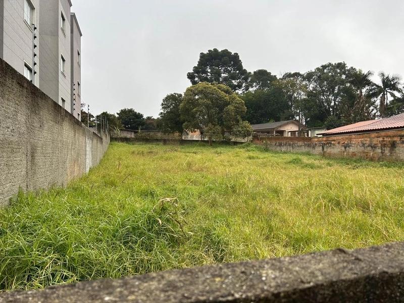 Terreno Urbano no Centro de Campo Largo - 490m² - Alto Potencial Construtivo