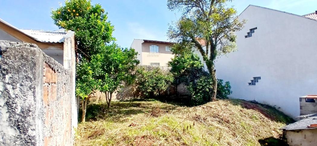 Miniatura 9