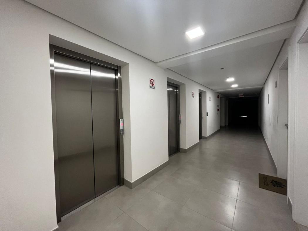 Miniatura 12