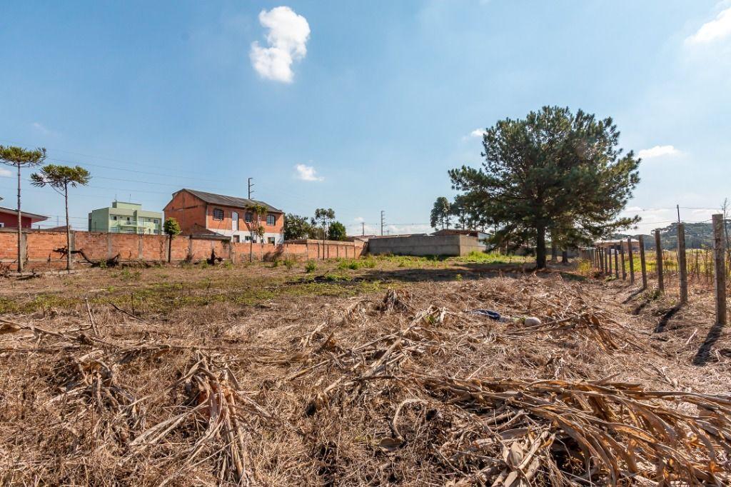 Terreno à venda, 5564 m² por R$ 1.950.000,00 - Rio Pequeno - São José dos Pinhais/PR