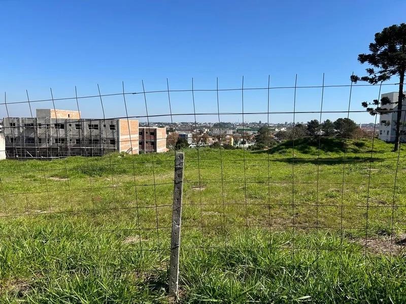 Area para Incorporaçao - 3.000m2 ou 6.000m² - Jardim Amelia - Pinhais