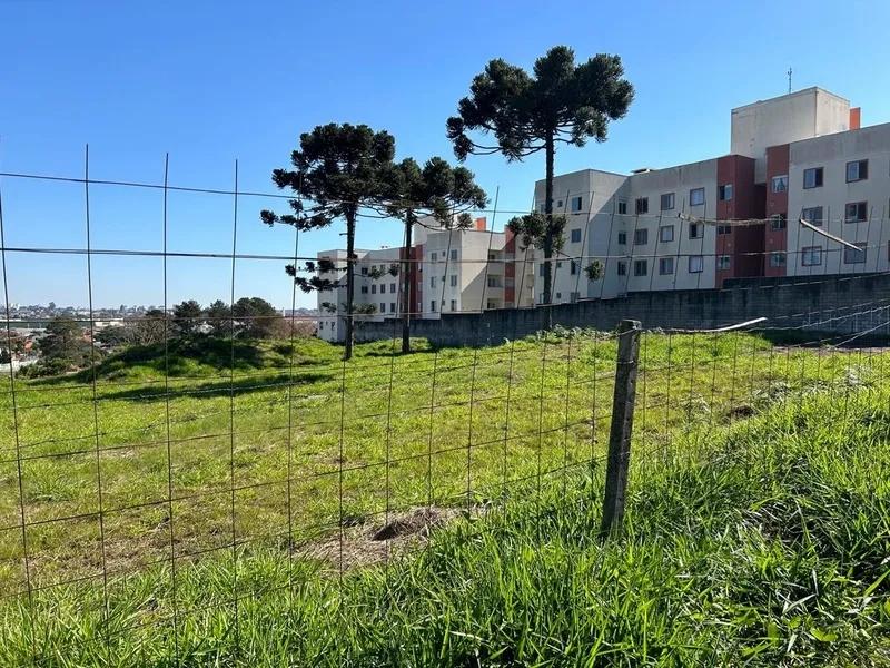 Area para Incorporaçao - 3.000m2 ou 6.000m² - Jardim Amelia - Pinhais